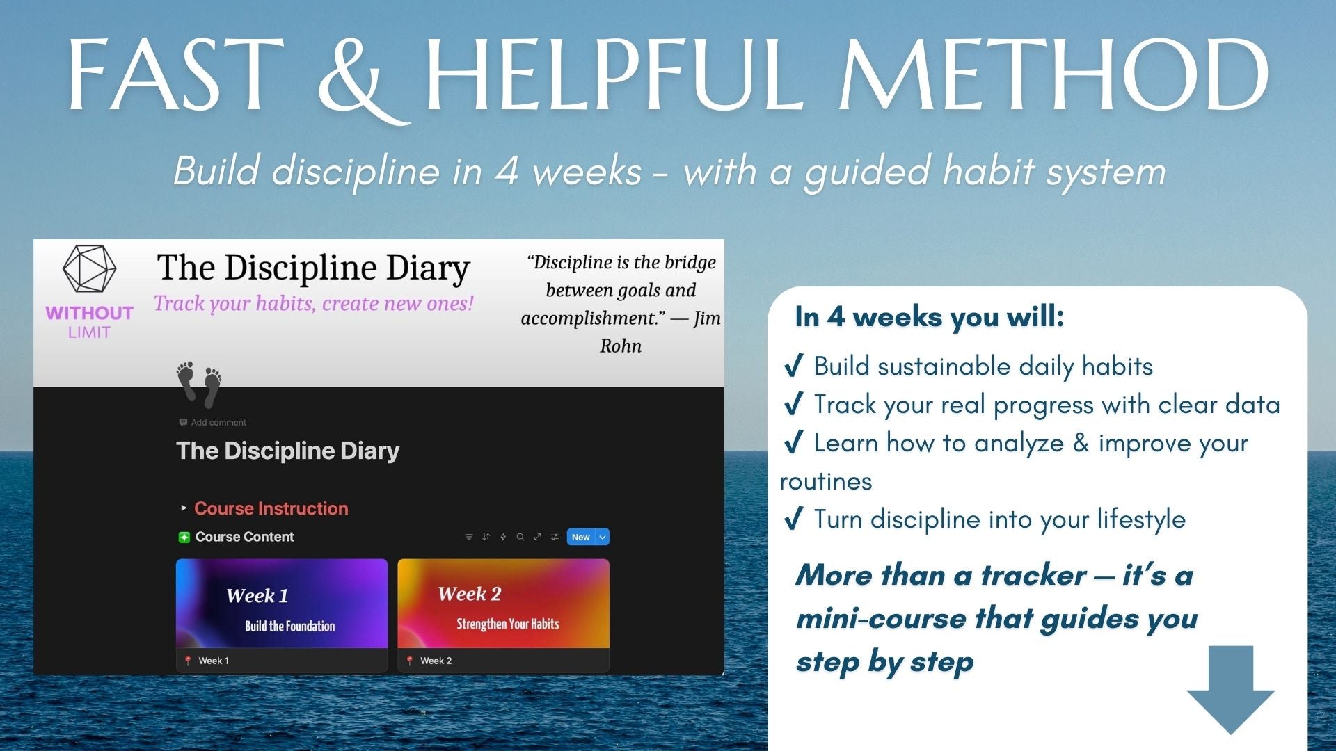 The Discipline Diary